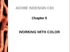 ADOBE INDESIGN CS 3 Chapter 5 WORKING WITH