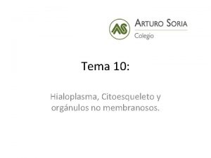 Tema 10 Hialoplasma Citoesqueleto y orgnulos no membranosos