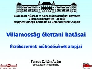 Budapesti Mszaki s Gazdasgtudomnyi Egyetem Villamos Energetika Tanszk