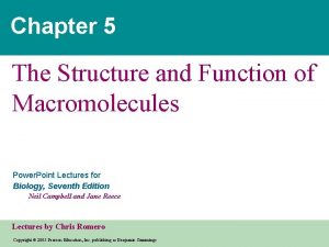 Chapter 5 The Structure and Function of Macromolecules