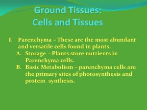 Ground Tissues Cells and Tissues I Parenchyma These