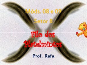 Mds 08 e 09 Setor B Filo dos