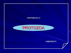 PERTEMUAN VI PROTOZOA AMBARWATI PROTOZOA Protozoa parasit yg