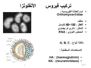 Influenza Virus 2 08 16 Types of Influenza