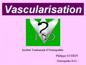 Vascularisation Institut Toulousain dOstopathie Philippe GUERIN Ostopathe D