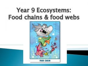 Year 9 Ecosystems Food chains food webs Food