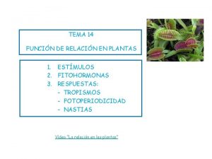 TEMA 14 FUNCIN DE RELACIN EN PLANTAS 1