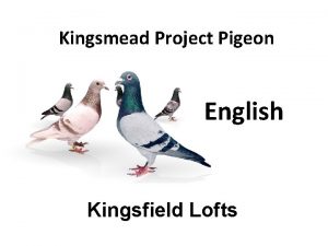 Kingsmead Project Pigeon English Kingsfield Lofts Journalism What
