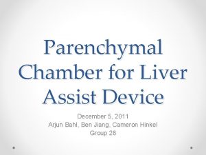 Parenchymal Chamber for Liver Assist Device December 5