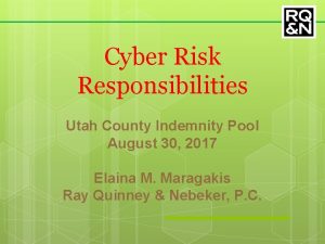 Cyber Risk Responsibilities Utah County Indemnity Pool August