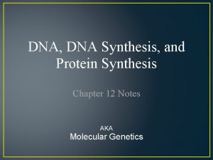 DNA DNA Synthesis and Protein Synthesis Chapter 12