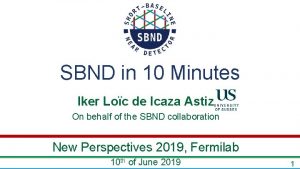 SBND in 10 Minutes Iker Loc de Icaza