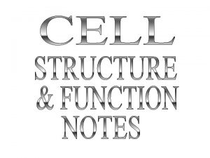 cell wall Plant Cell DNA nucleolus cell membrane