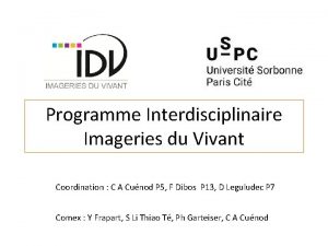 Programme Interdisciplinaire Imageries du Vivant Coordination C A