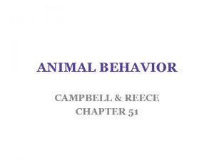 ANIMAL BEHAVIOR CAMPBELL REECE CHAPTER 51 ANIMAL BEHAVIOR