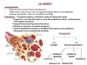 LA SANGRE Caractersticas Tejido conectivo origen celular mesodrmico