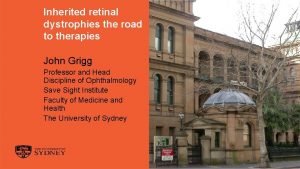 Inherited retinal dystrophies the road to therapies John