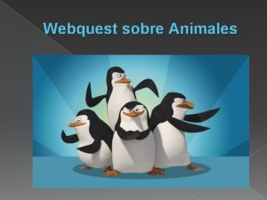 Webquest animales