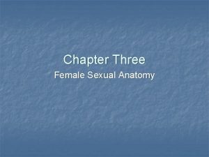 Chapter Three Female Sexual Anatomy Female Sex Organs