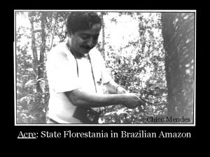 Chico Mendes Acre State Florestania in Brazilian Amazon