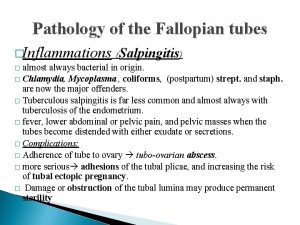 Pathology of the Fallopian tubes Inflammations Salpingitis almost