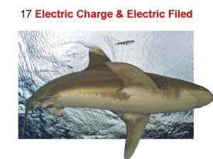 17 Electric Charge Electric Filed Nature of Electric