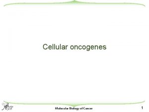 Cellular oncogenes Molecular Biology of Cancer 1 Transfection