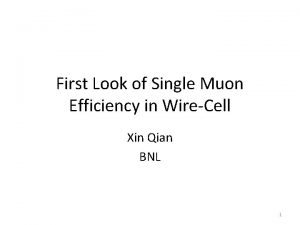 First Look of Single Muon Efficiency in WireCell