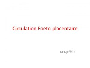 Circulation Foetoplacentaire Dr Djeffal S Gnralits Circulation placentaire