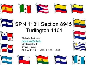 SPN 1131 Section 8945 Turlington 1101 Melanie DAmico