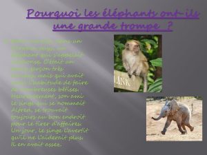 Pourquoi les lphants ontils une grande trompe Il