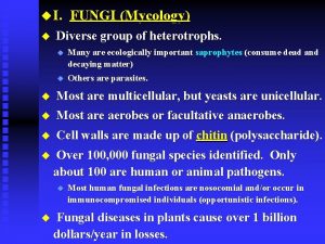 u I u FUNGI Mycology Diverse group of