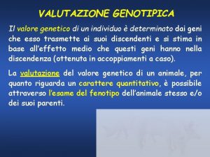 VALUTAZIONE GENOTIPICA Il valore genetico di un individuo