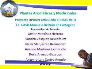 Plantas Aromticas y Medicinales Proyecto PAM articulado al