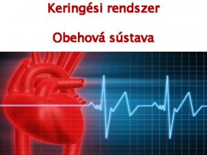 Keringsi rendszer Obehov sstava A keringsi rendszer nem