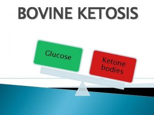 BOVINE KETOSIS Gluco se Keton e bodie s