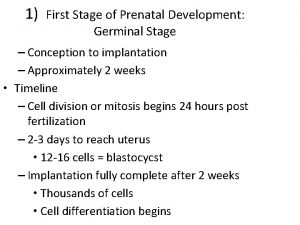 1 First Stage of Prenatal Development Germinal Stage