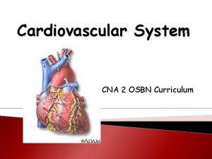 Cardiovascular System CNA 2 OSBN Curriculum Overview Anatomy