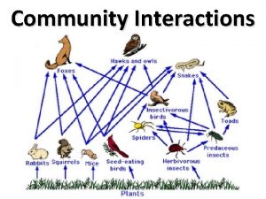 Community Interactions Community Interactions Community Many different species