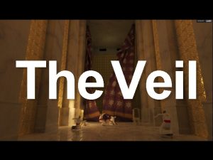 The Veil Purpose of the Veil And let