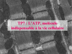 TP 7 LATP molcule indispensable la vie cellulaire