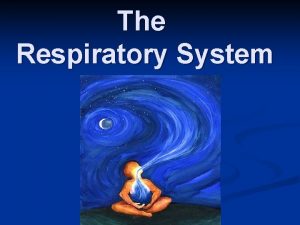 The Respiratory System vocal cords respiratory system bronchioles