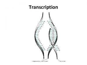 Transcription DNA Transcription DNA must be copied to