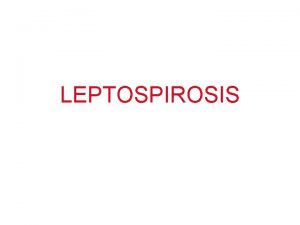LEPTOSPIROSIS Pendahuluan Leptospirosis yi Penyakit demam akut dgn