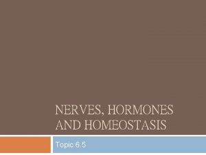 NERVES HORMONES AND HOMEOSTASIS Topic 6 5 Assessment