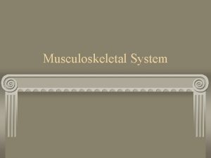 Musculoskeletal System Inflammatory Disorders Presentations Rheumatoid Arthritis Ankylosing