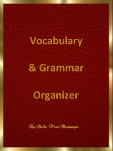 Vocabulary Grammar Organizer By Stella Maris Berdaxagar The