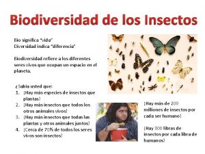 Biodiversidad de los Insectos Bio significa vida Diversidad