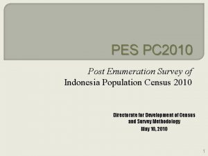 PES PC 2010 Post Enumeration Survey of Indonesia