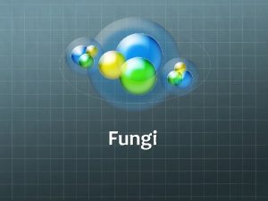 Fungi are not considered plants because